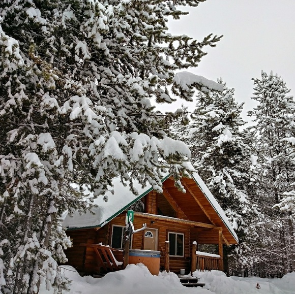 Meet your Posher, Tracy - Picture 1 of 5